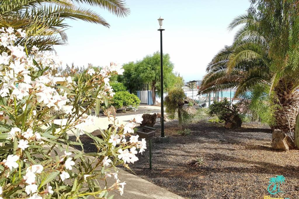 Appartement Bouganville Rez-De-Chaussee Wifi Costa De Antigua Exterior photo